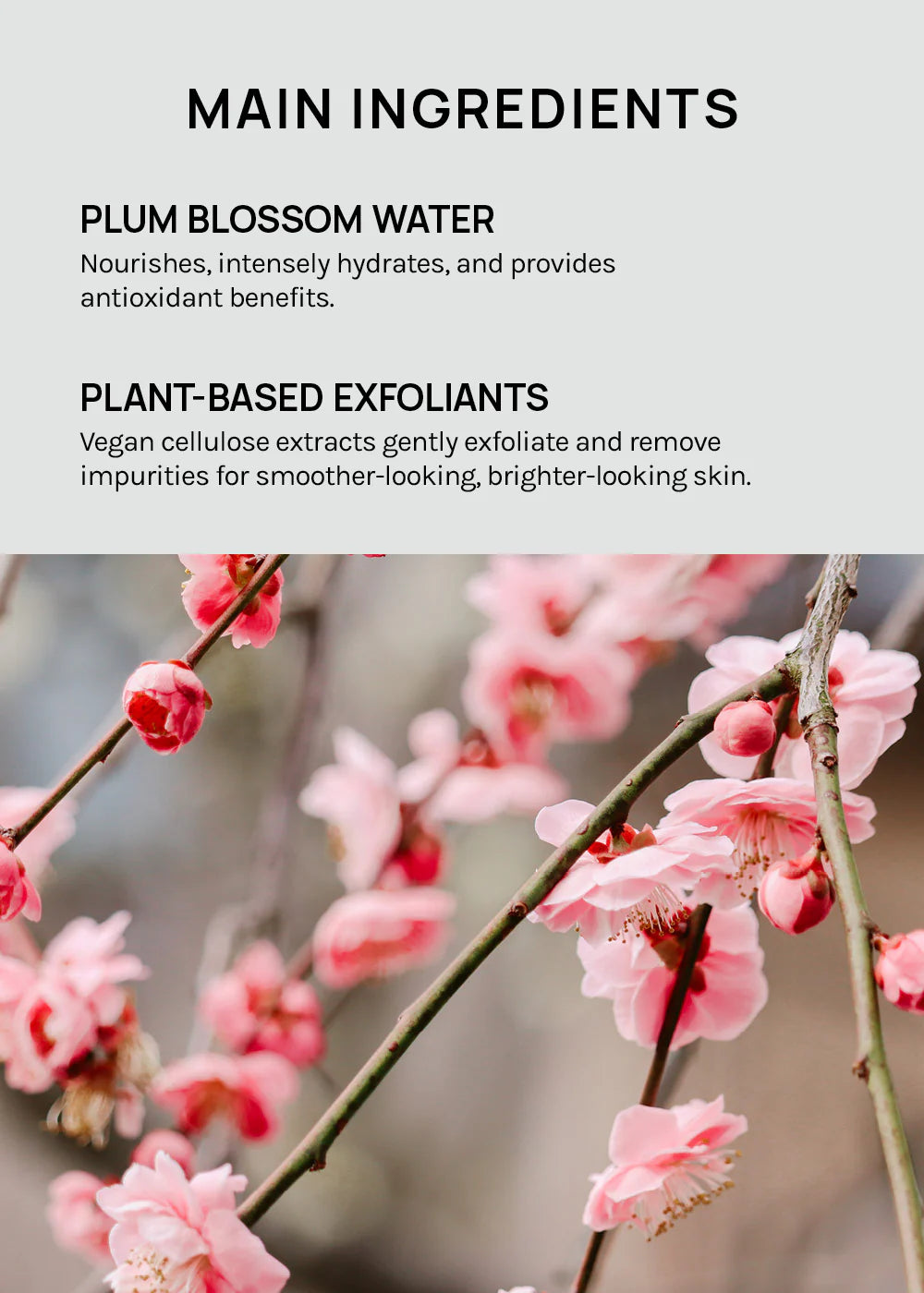 Beauty of Joseon Apricot Blossom Peeling Gel 100ml
